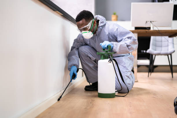 Best Real Estate Pest Inspections  in Vienna, IL